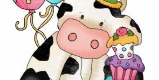 Cow Bday