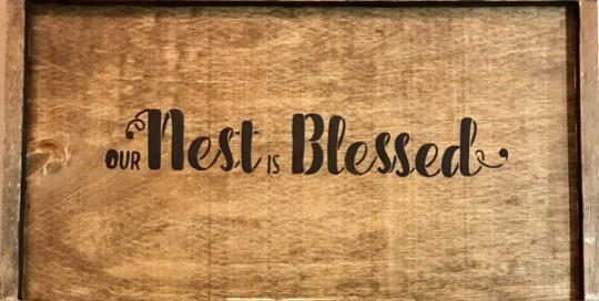 Nest