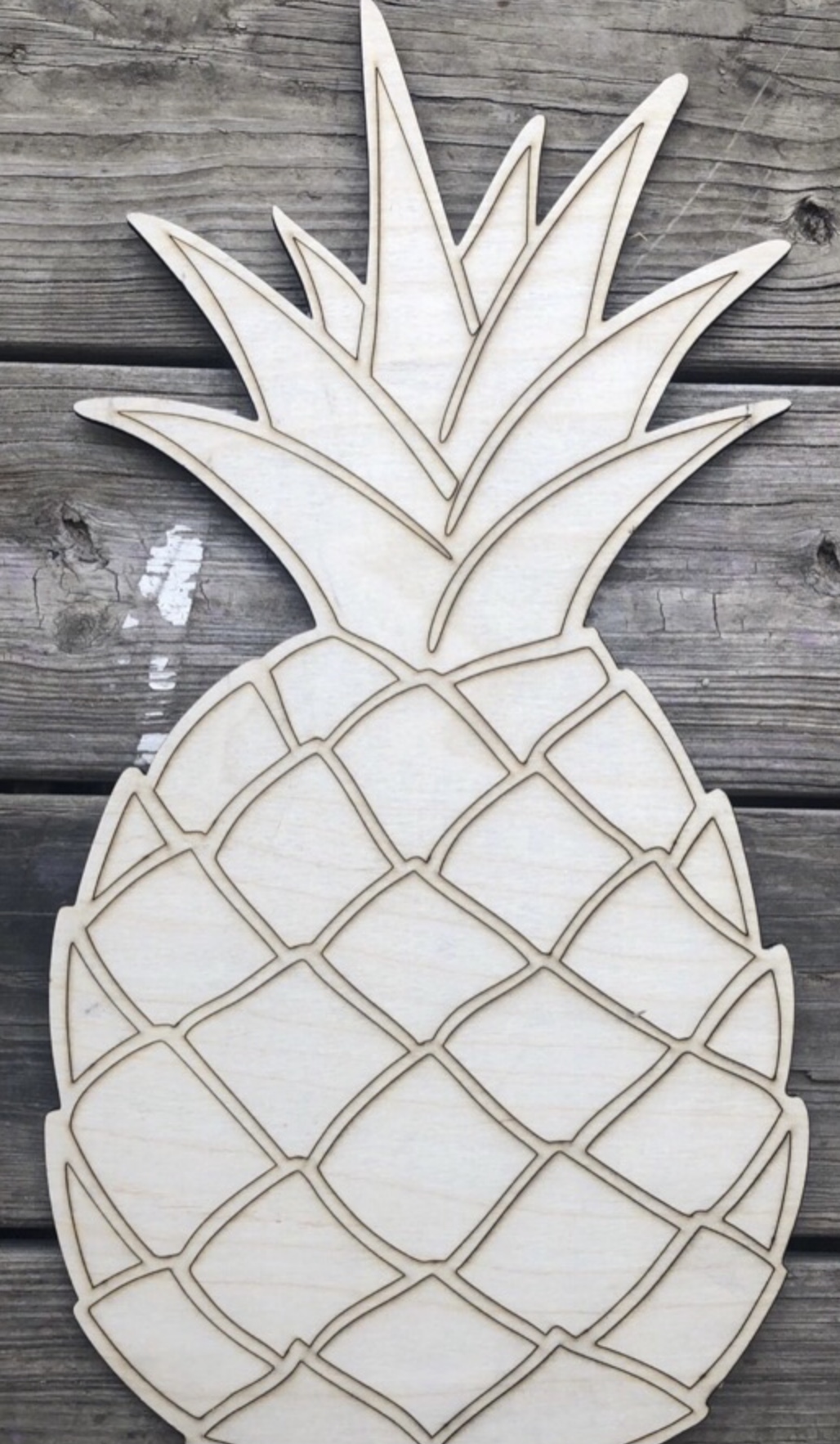 Copper Hill Fundraiser Take Home Kit #5 ~ Pineapple