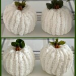 7:00 - 9:00pm Monika’s Chunky Knit Pumpkin Session
